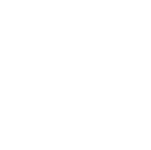 AM Academy